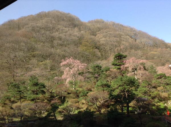 �l�G�ʂ�H�c�Â����@�����z�e��