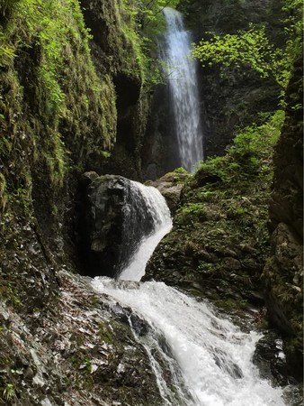 �����̑�