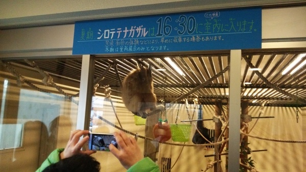 ���R������