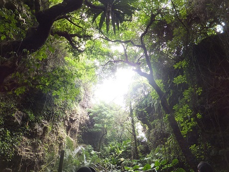 �K���K���[�̒J