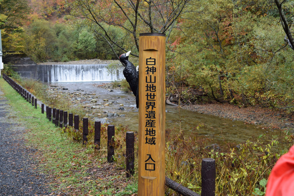 ���_�R�n�̃u�i��