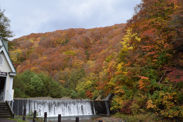 ���_�R�n�̃u�i��