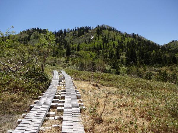 ��ɃP���̍��R�A���Q��