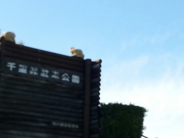 ��]���Ԃƌe���̍L��