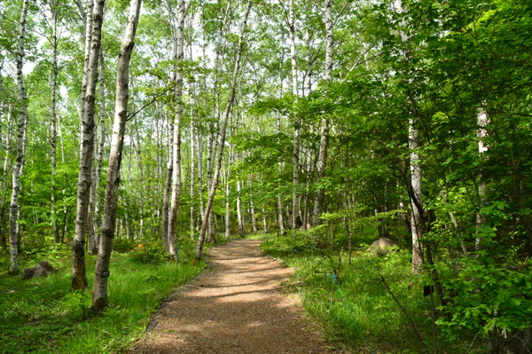 ����䍂�����R��