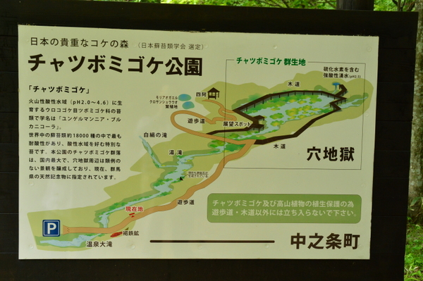 �`���c�{�~�S�P����