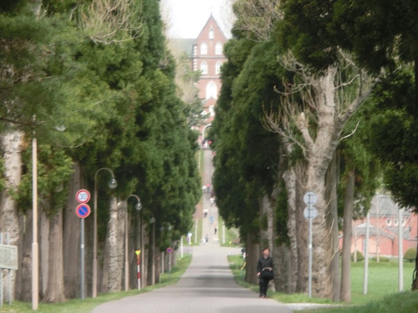 �����V�g�[���̐����C���@�i�g���s�X�g�C���@�j