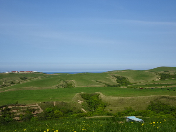 �@�J�u�ˎ��X�͒n�`