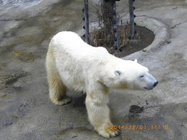 ���R������