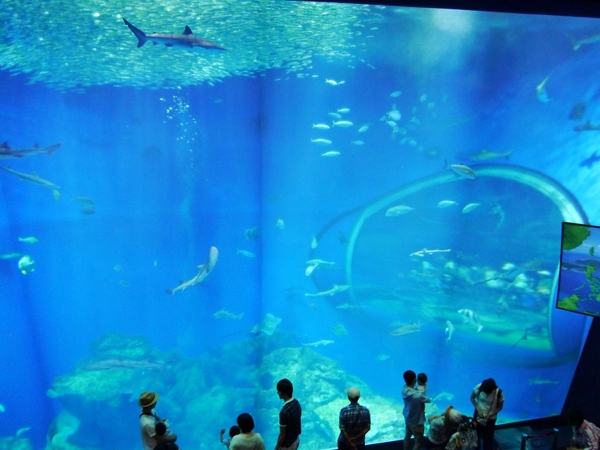 アクアワールド茨城県大洗水族館
