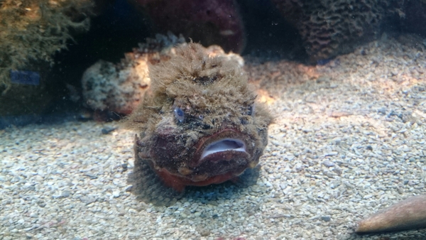 ���{�C������