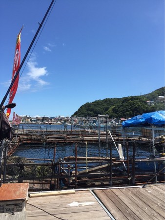 �C��ނ�x�����]