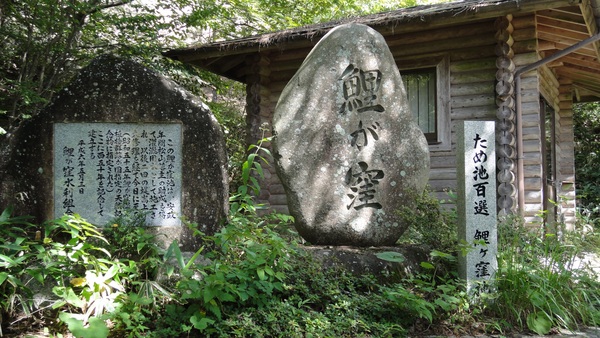 ��E����