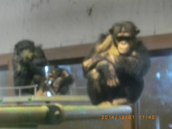 ���R������