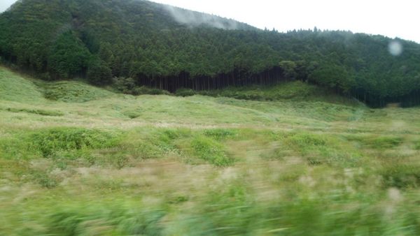 ��Ό�����