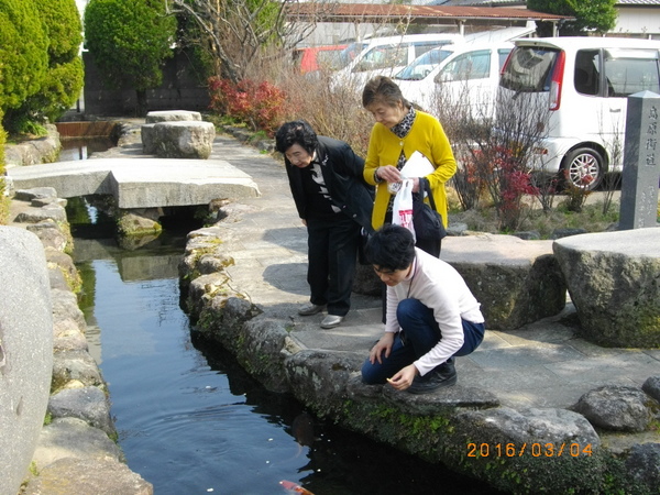 ��̉j���܂�