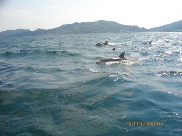 �C���J�E�H�b�`���O�i���̉w �V���s�C���J�Z���^�[�j