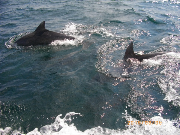 �C���J�E�H�b�`���O�i���̉w �V���s�C���J�Z���^�[�j