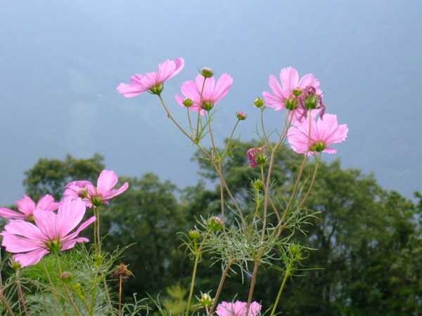 ���g����