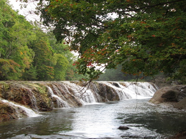 ���i�C�A�K����