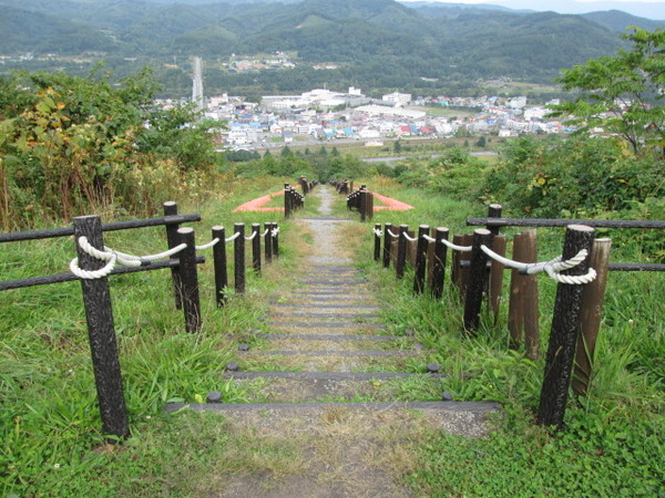 ���{��̃Y���R�K�i