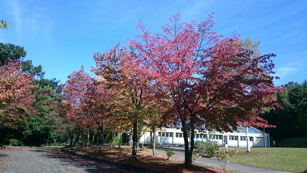 �_�y������