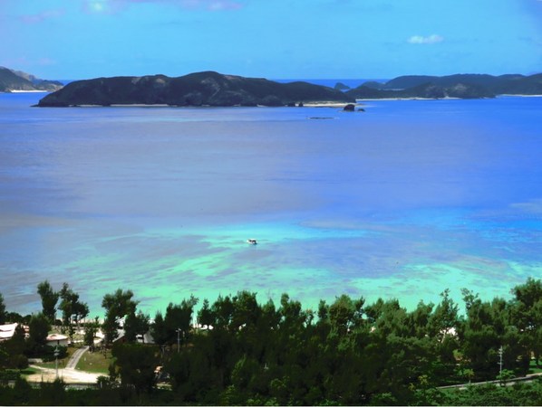 �n�Îu�v�r�[�`