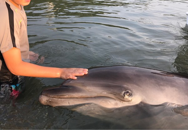 ���{�h���t�B���Z���^�[