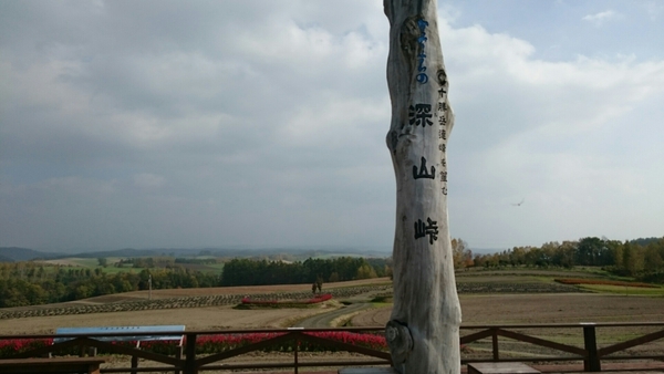 �[�R���W�]��