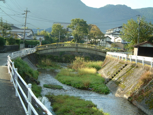 �啪��̒���