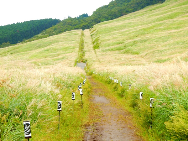 ��Ό�����