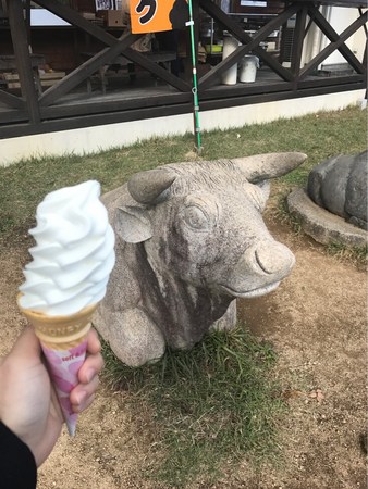 �k�A���v�X�q�꒼���X