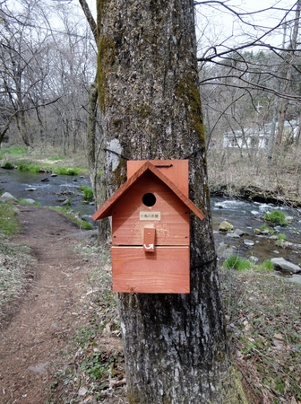 �y��򐯖�G���A�@�n���j���e���X