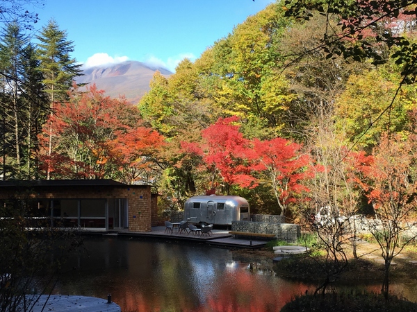 �s�b�L�I�쒹�̐X�r�W�^�[�Z���^�[