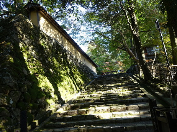 �Γ��O�R ������