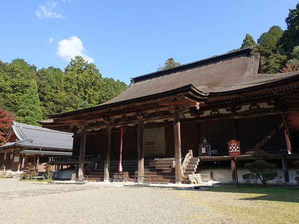 �Γ��O�R ������