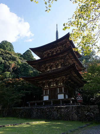 �Γ��O�R ������