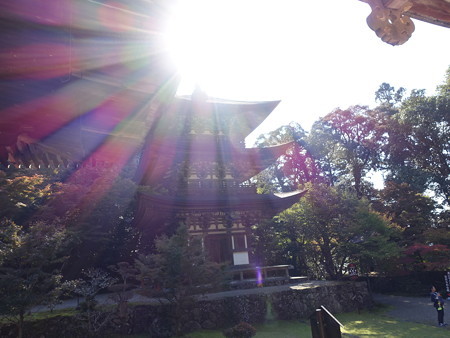 �Γ��O�R ������