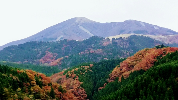 �t�@�[�����[�hWAITA