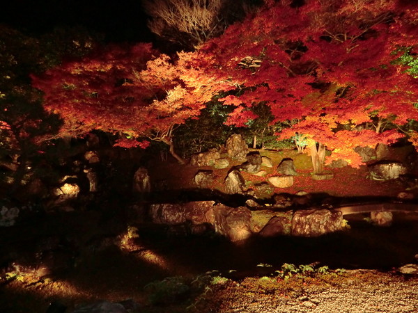 圓徳院