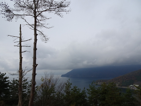 �����i�΃p�[�N�E�F�C