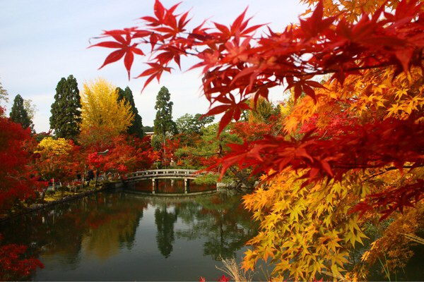 永観堂（禅林寺）