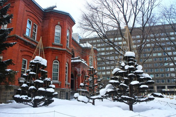 �k�C�������{����(�Ԃ�񂪒���)