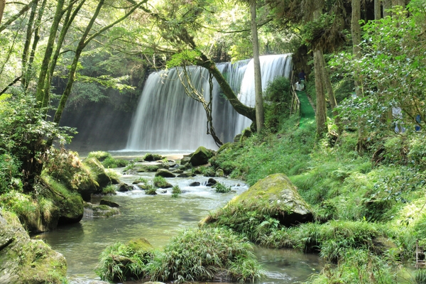 �烖������@�@���E�F�u����̎��O�\�񐧂ɂ������ƂȂ��Ă���܂��B