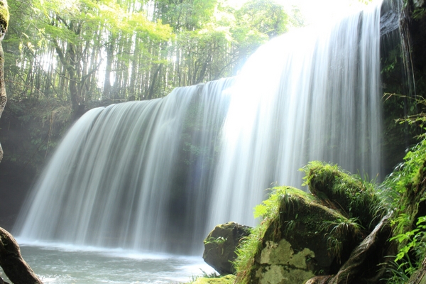 �烖������@�@���E�F�u����̎��O�\�񐧂ɂ������ƂȂ��Ă���܂��B