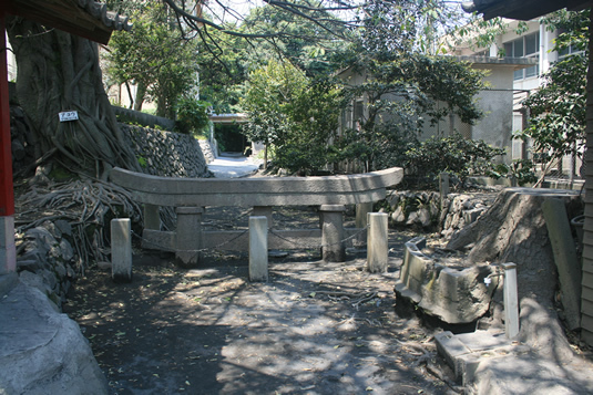 ���_���v����