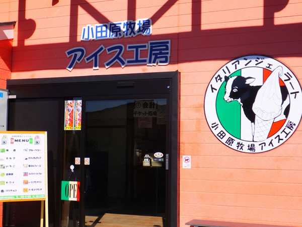 ���c���q��A�C�X�H�[