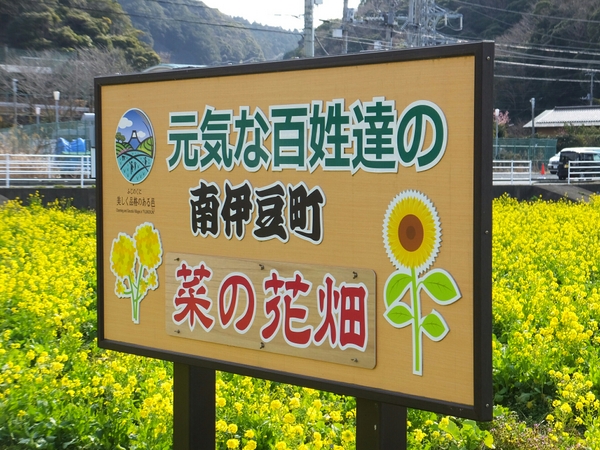 ���C�ȕS�������̂Ђ܂�蔨