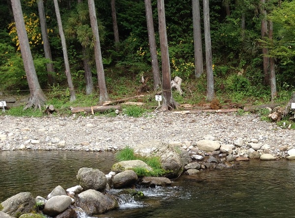 秋川国際マス釣場の写真一覧 じゃらんnet