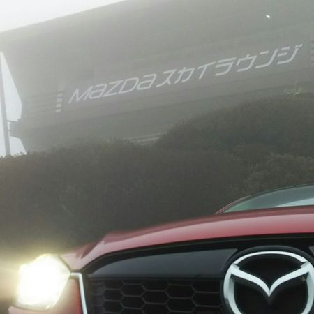 �A�l�X�g��c�@�^�[���p�C�N����